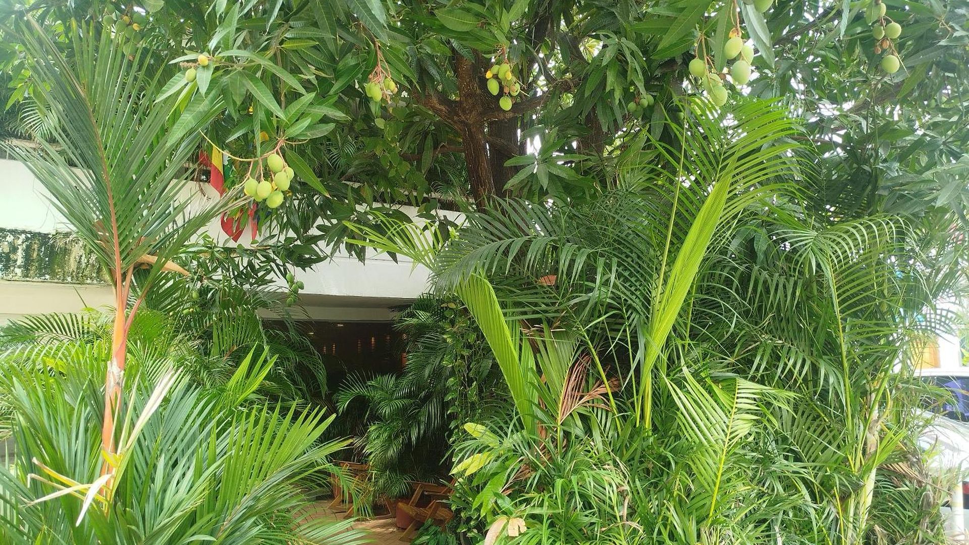Hotel Casa Milán Cartagena