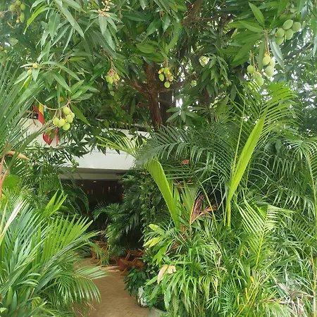 Hotel Casa Milan Cartagena