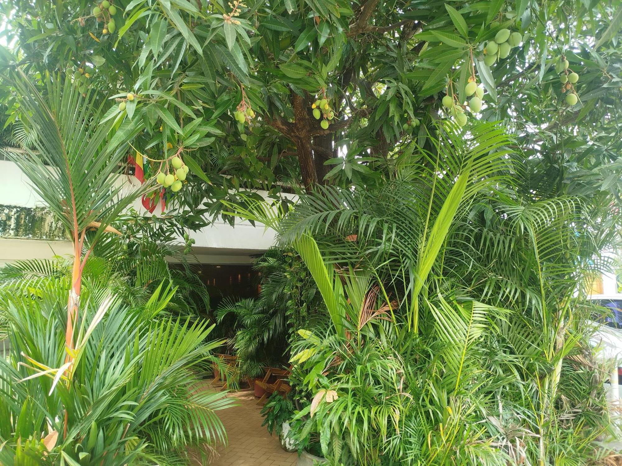 Hotel Casa Milan Cartagena